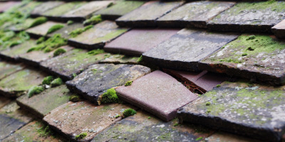 Begwary roof repair costs